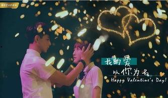 以青春之名,以青春之名，谱写时代华章